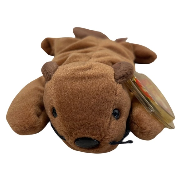 RARE "BUCKY" THE BEAVER TY BEanie BABY PVC Pellets Style #4016 - Picture 3 of 9